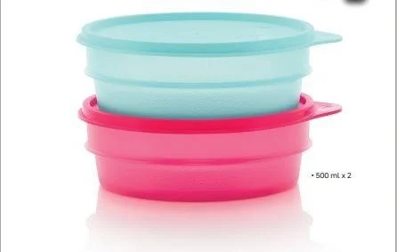 Tupperware Modular Storage Containers 2 pcs 500 ml