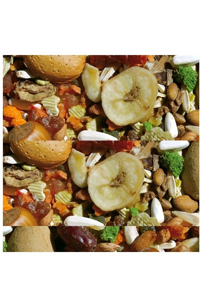 Generic Supplementary food for parrots from Manitoba - 700 grams  - Image 2