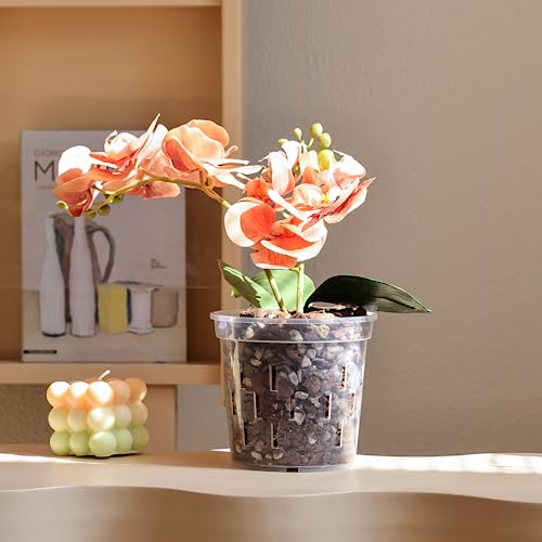 TRUEDAYS Orchid Pot – 4 Pack 5 Inch Clear Orchid Pots with Drainage Holes for Repotting – Ideal for Healthy Root Growth – Sturdy Plastic Plant Pot for Indoor & Outdoor Plants - Image 5