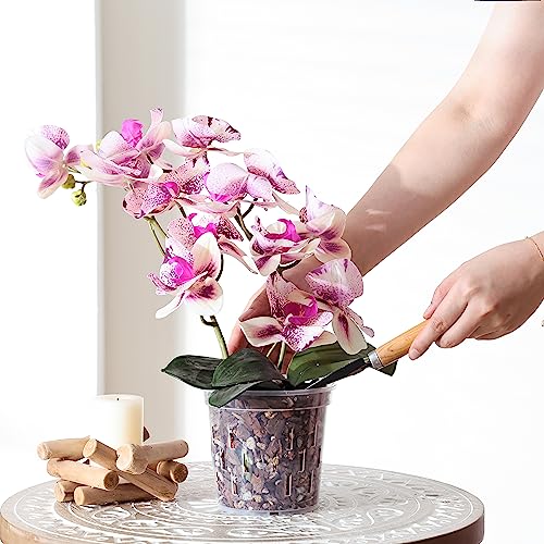 TRUEDAYS Orchid Pot – 4 Pack 5 Inch Clear Orchid Pots with Drainage Holes for Repotting – Ideal for Healthy Root Growth – Sturdy Plastic Plant Pot for Indoor & Outdoor Plants - Image 3