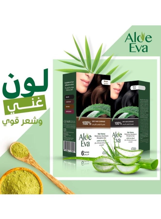 Aloe Eva Hair Henna Black - Natural Black Hair Color - 6 x 10 GM Sachets - Image 4