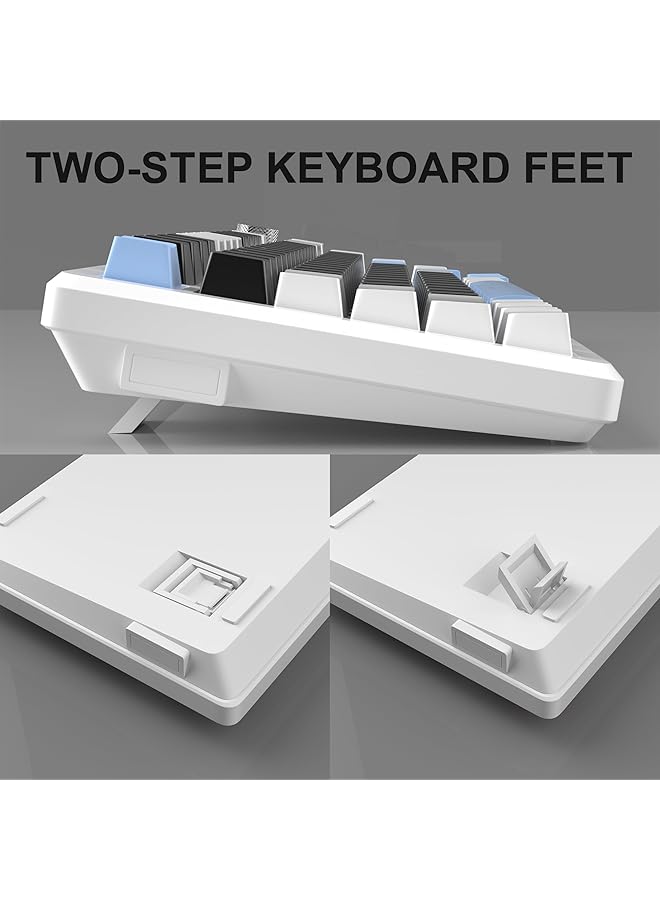 MageGee 75% Mechanical Gaming Keyboard Compact Blue Backlit With Black Switches Eva Foam Knob Control Star75 Portable Nkro For Pc Black & Blue - Image 5