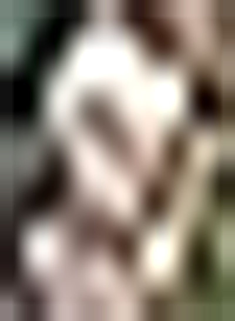 GGOOT 5pcs Rood Wit Iris Bollen Familie Tuin Bloem Bed Gras Pad Landelijke Stijl Verfraaiing Aantrekkelijke Sterke Tuinieren Planten Opties - Image 1