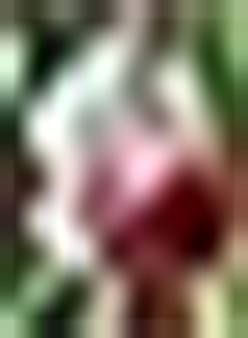 GGOOT 5pcs Rood Wit Iris Bollen Familie Tuin Bloem Bed Gras Pad Landelijke Stijl Verfraaiing Aantrekkelijke Sterke Tuinieren Planten Opties - Image 2