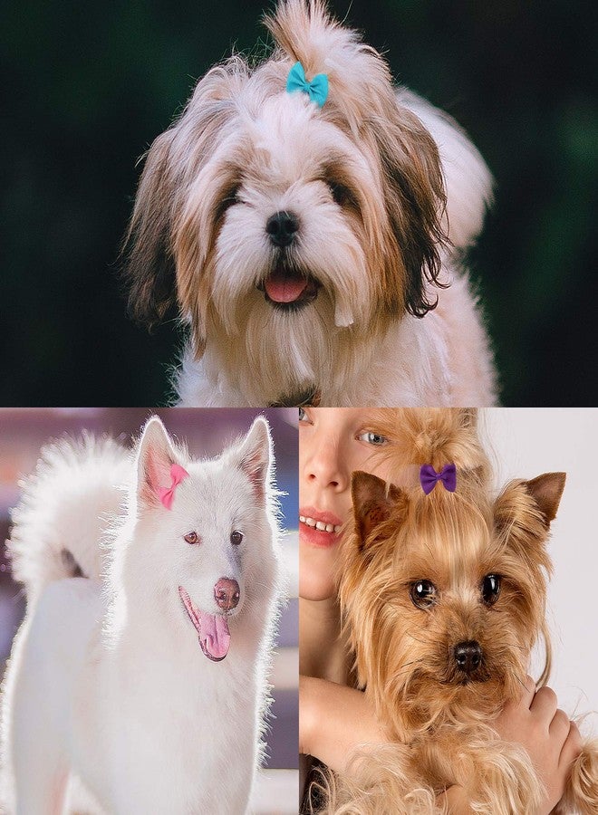 XIMA 48PCS(24pairs) Dog's Hair Bows Clips,Small Handmade Hair Accessories Bow Pet Puppy for Doggies Cat Kitten Rabbit Grooming Accessories (Mixcolors-48pcs Bows Hair Clip) - Image 3