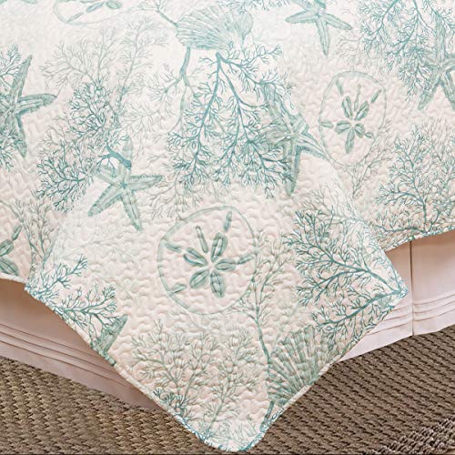 C&F Home Ocean Treasures Blue Starfish Sand Dollar Twin Bed Quilt Set All Seasons Summer Seashell Coral Beach House Reversible Lightweight Coverlet Comforter Nautical Bedroom Bedding Decor Decoration - Image 5