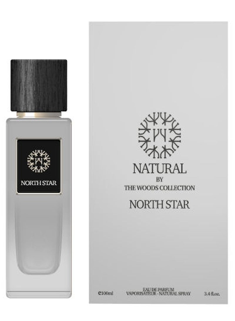THE WOODS COLLECTION Natural North Star For Men Eau de Parfum 100ml - Image 1