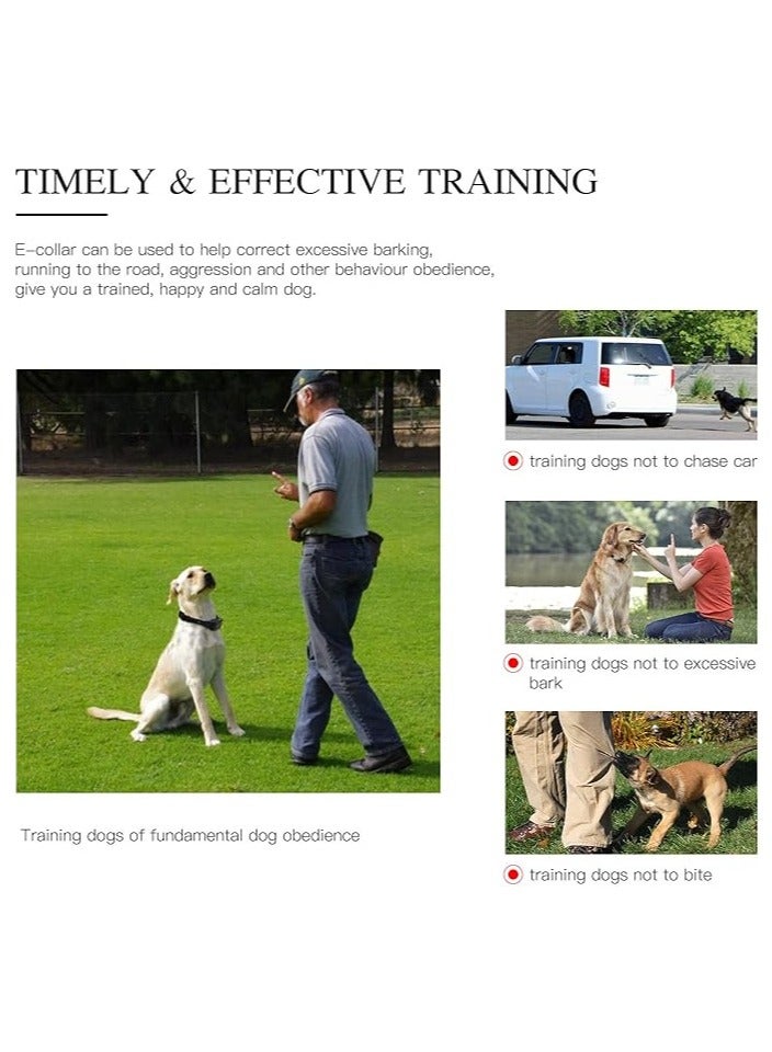 general Dog Training Collar, 800m Small, Medium & Large, Dog Training Collar with Remote Control, Waterproof, Rechargeable, with Beep/Vibration/Shock - Image 3