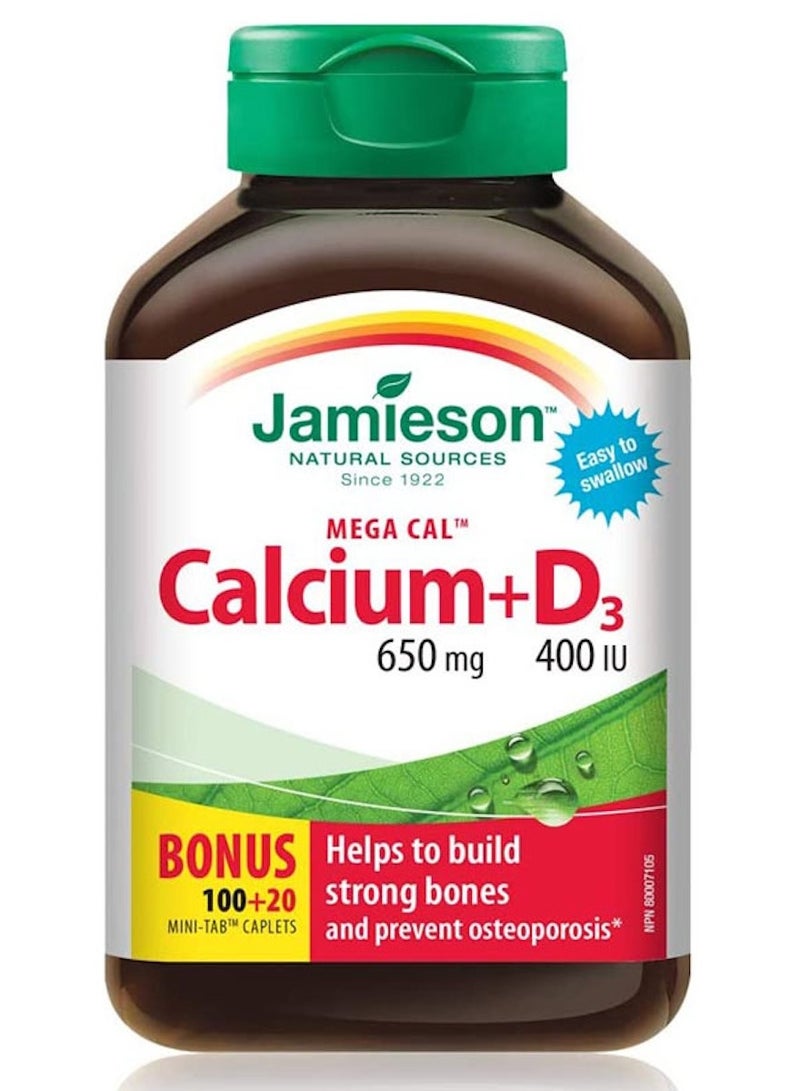 جاميسون جيميسون ميغا كالسيوم 650 ملغ مع فيتامين D3 400 وحدة دولية، 120 حبة