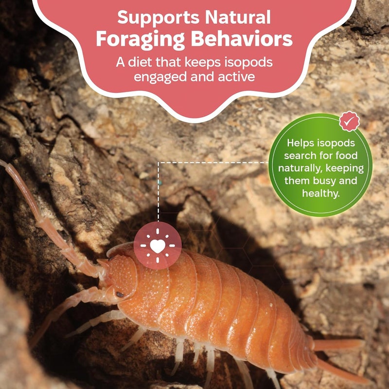 Snout and Shell Isopod Food A Bountiful Selection Crafted to Enrich Your Pet's Habitat and Diet (Garden Foraging Blend) - Image 5