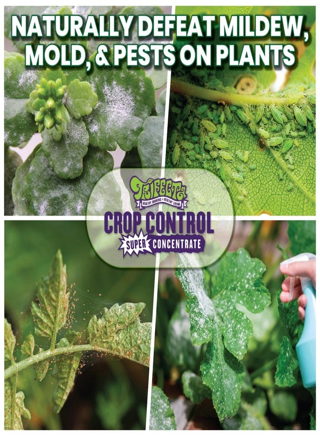 Trifecta Crop Control Super Concentrate All-in-One Natural Pesticide, Fungicide, Miticide, Insecticide, Help Defeat Spider Mites, Powdery Mildew, Botrytis, Mold, and More on Plants 4 OZ - Image 2