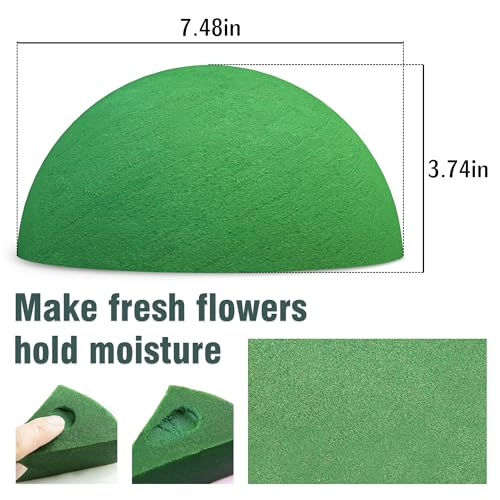 Max Shape Floral Foam Half Ball 7.48" for Floral Arrangements, Round Floral Foam Half Balls Green, Wet Flower Foam for Fresh Flowers - Image 2