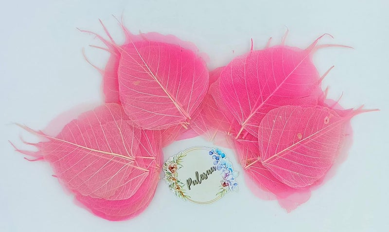 Palesaa Shaded Natural Skeleton Leaves for Craft DCOR DIY Pack of 50 COS Rose - Image 1