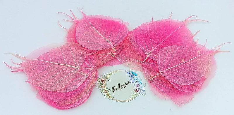 Palesaa Shaded Natural Skeleton Leaves for Craft DCOR DIY Pack of 50 COS Rose - Image 2