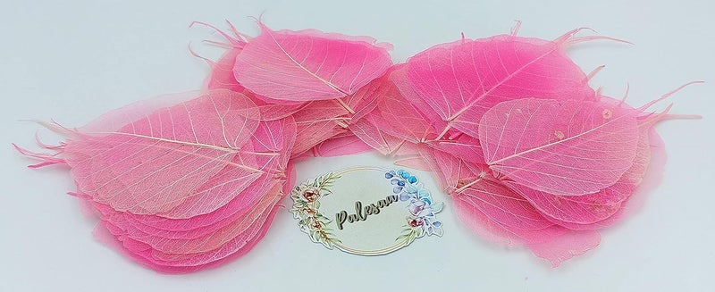 Palesaa Shaded Natural Skeleton Leaves for Craft DCOR DIY Pack of 50 COS Rose - Image 3