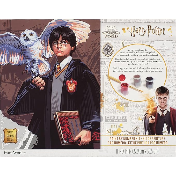 Dimensions PaintWorks Hedwig and Harry Potter Paint by Number Kit for Adults and Kids, Finished Project 11" x 14", Multicolor 15 Piece