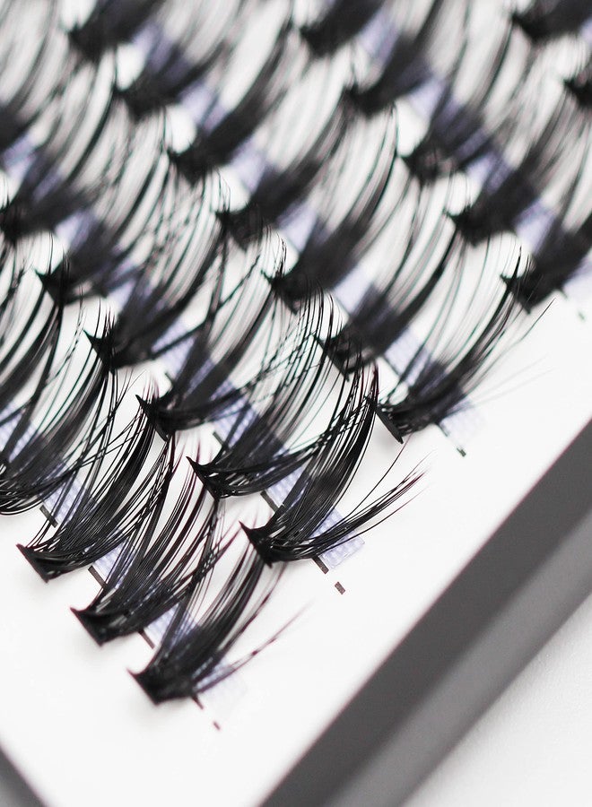 Bodermincer 10D/20D/30D/40D/50D/60D/80D 240 Clusters Lashes C/D Curl 10-12-14-16mm MIX/14-16-18-20mm MIX Fluffy Single Cluster False Lashes Premade Volume Fans (30D-12MM, C Curl) - Image 4