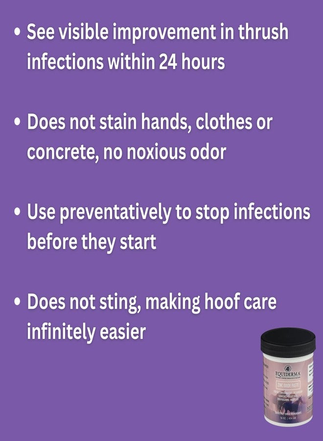 Equiderma (2 Pack) Zinc Oxide Paste for Horses, 16 oz with wipes | Treatment for Pastern Dermatitis, Scratches & Sunburn | Protective Water-Resistant Barrier & UV Shield | Equine Skin Treatment - Image 3