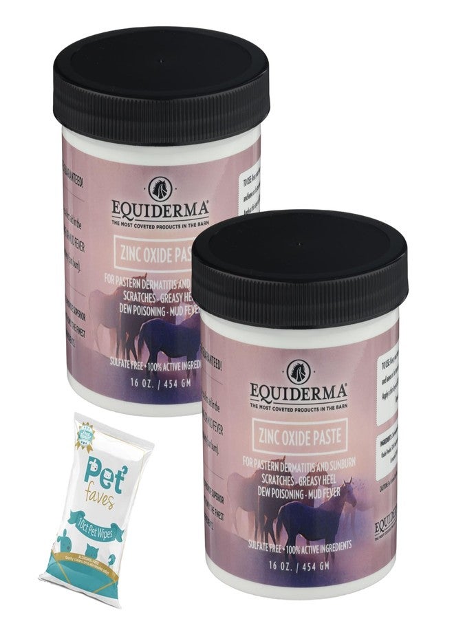 Equiderma (2 Pack) Zinc Oxide Paste for Horses, 16 oz with wipes | Treatment for Pastern Dermatitis, Scratches & Sunburn | Protective Water-Resistant Barrier & UV Shield | Equine Skin Treatment - Image 1
