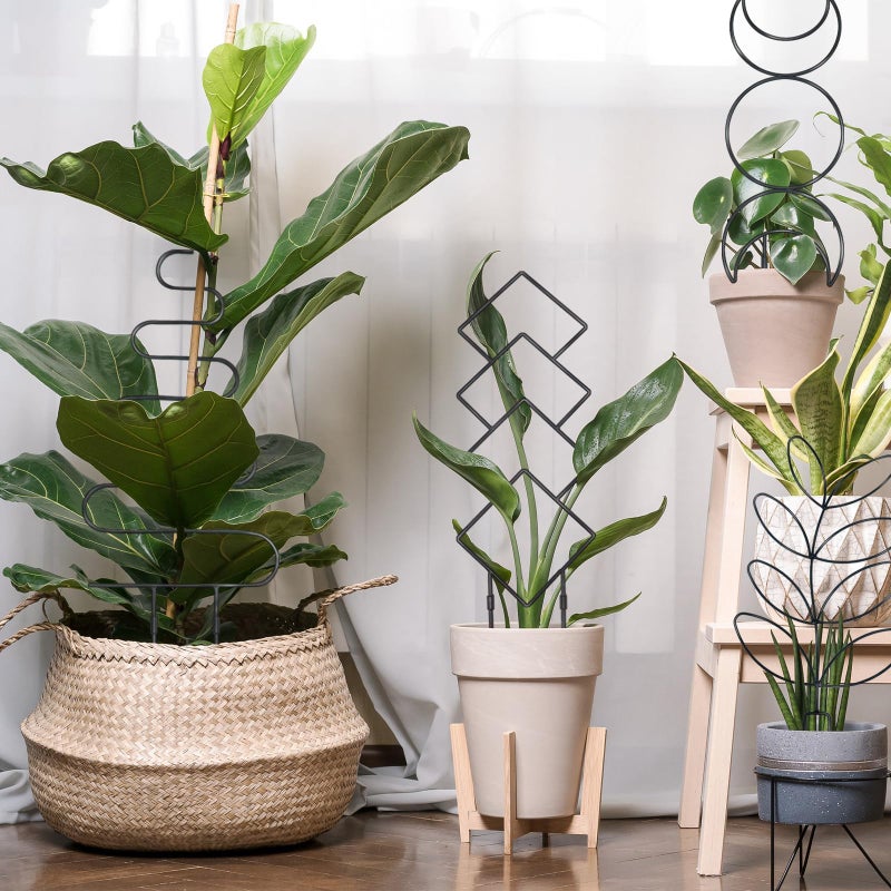 Xeeol Larger 23inch Plant Trellis for Climbing Plants Indoor, Trellis for Potted Plants with Ties, Metal Climbing Plant Support for Houseplant Flower Pothos, 4 Different Panels, Black - Image 4