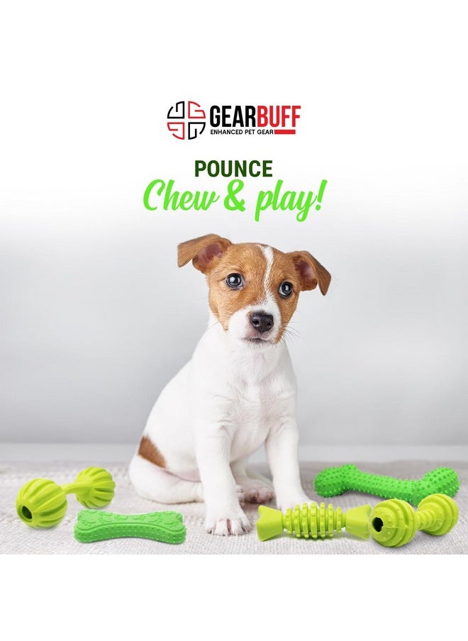 Chew Toys 5 In 1 | Tuffy Bone, Spiral Dumbbells, Spiky Curved Flat Bone, Paw Printed Flat Bone, Twirled Bone| Chew Toys For Dogs | Green