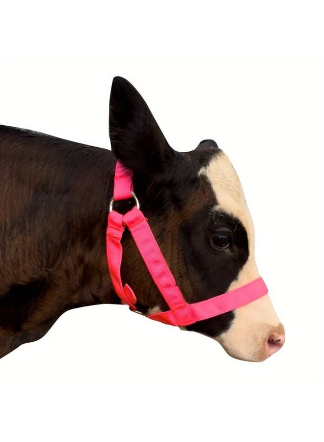 حبل رائد للماشية كبير أحمر قابل للتعديل من النايلون لالبوني والحمير والماعز والمهرات - Image 4