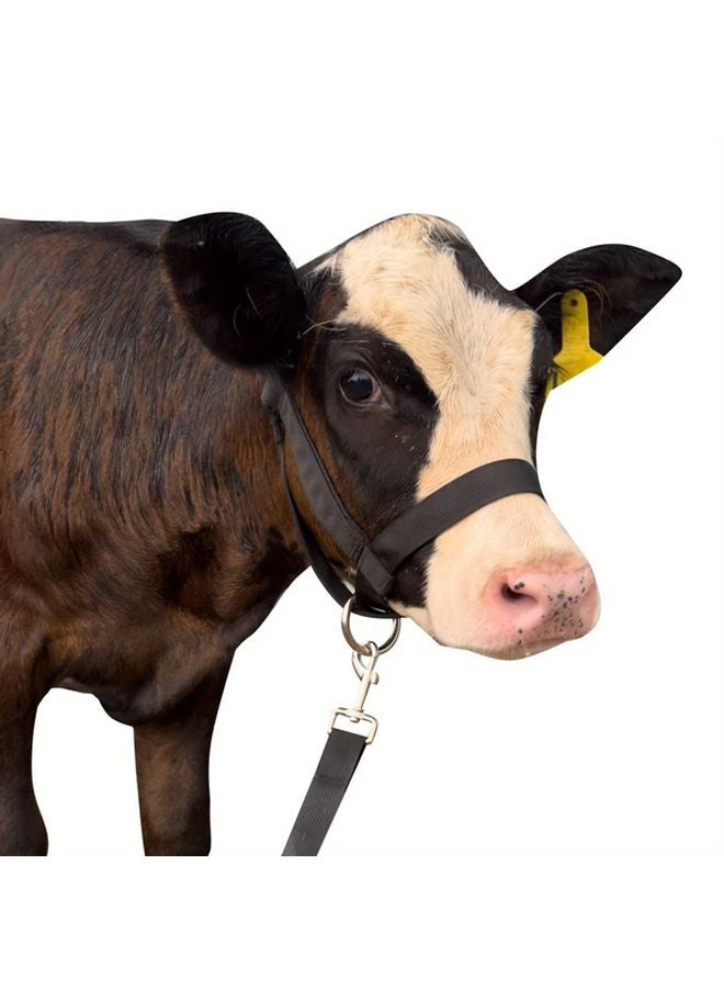 حبل رائد للماشية كبير أحمر قابل للتعديل من النايلون لالبوني والحمير والماعز والمهرات - Image 3