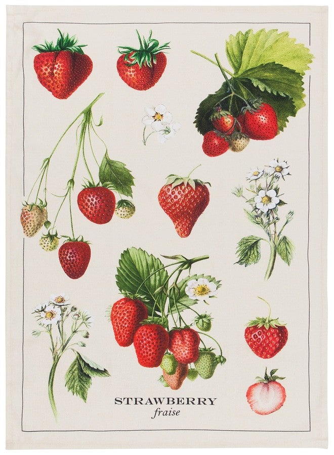 Now Designs Vintage Straberries Printed Kitchen Towel, 18x28 inches - Image 1