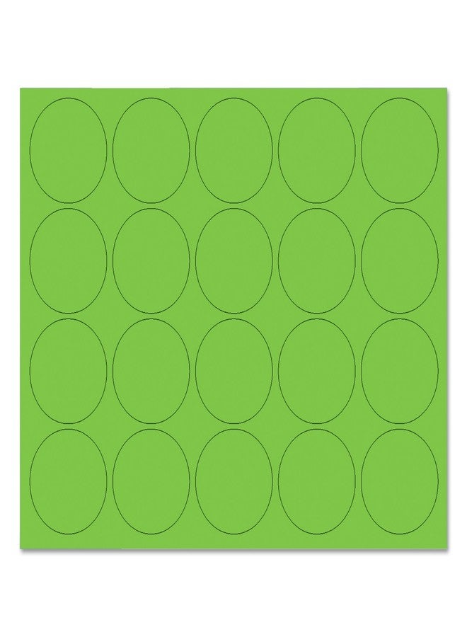 دوائر مغناطيسية ماستر فيجن مقاس 3/4 بوصة، عبوة من 20 قطعة، لون أخضر (FM1601)