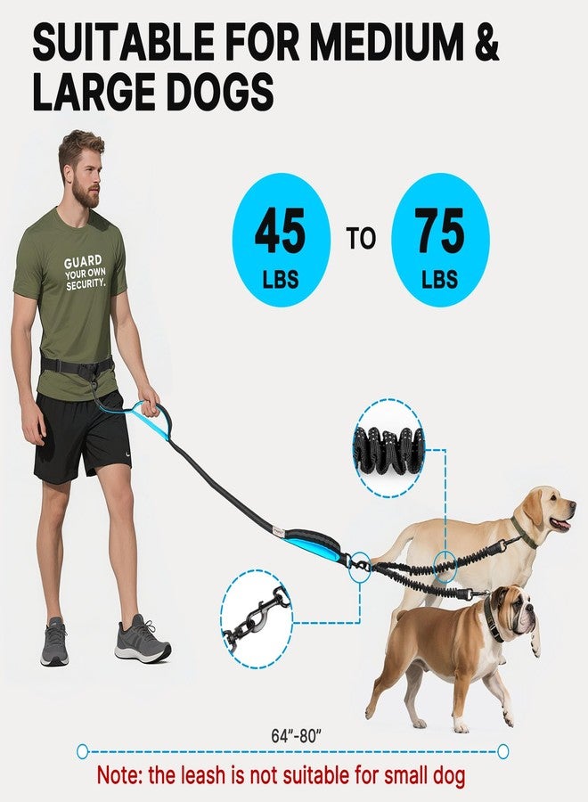 ITNAST Hands Free Double Dog Leash Tangle Free, Lumbar Support Dual Leash for Medium Large 2 Dogs With Bungee, Waist Bag, Padded Handles,Reflective Stitching for Dog Walking, Jogging, Hiking, Training - Image 5