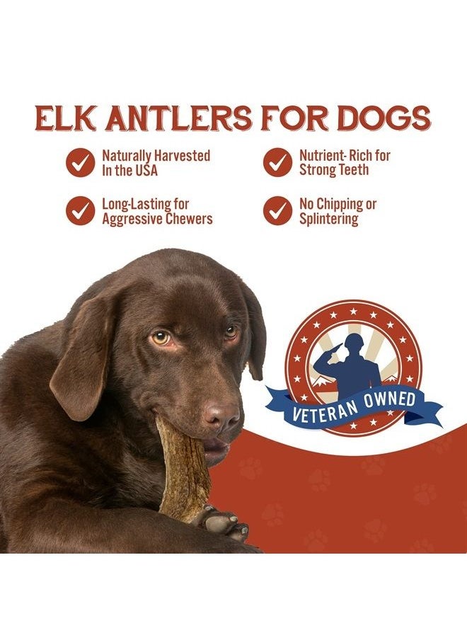Heartland Antlers Elk Antlers for Dogs - Grade A, Naturally Shed Antlers | Long Lasting Dog Bones for Aggressive Chewers & Teething Puppies | All Breeds Chew Toy USA Made & Veteran Owned | Large: 7" Whole Elk, 1-Pack 