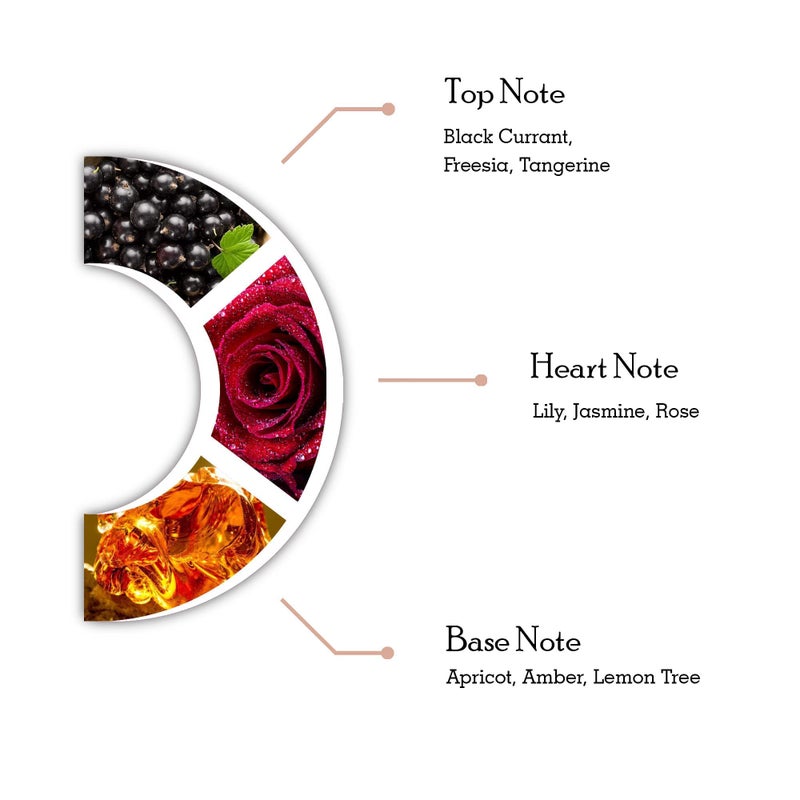 DORALL COLLECTION LADY DORALL BY DORALL COLLECTION PERFUME FOR WOMEN 3.3 OZ / 100 ML EAU DE PARFUM SPRAY - Image 5