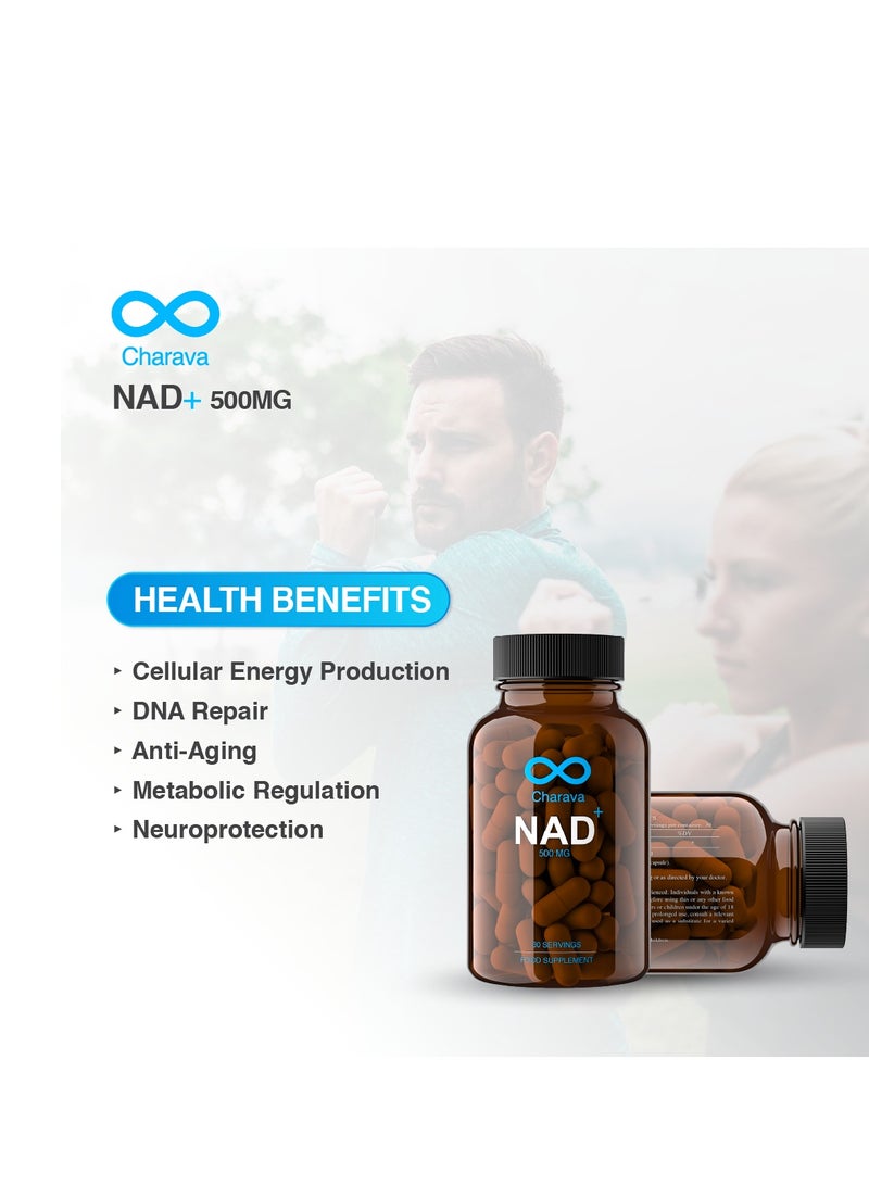 شارافا NAD+ 500 ملغ | معزز NAD+ للعمر الطويل | امتصاص معزز | 30 كبسولة | إمداد لمدة 30 يومًا | نيكوتيناميد أدينين - Image 2
