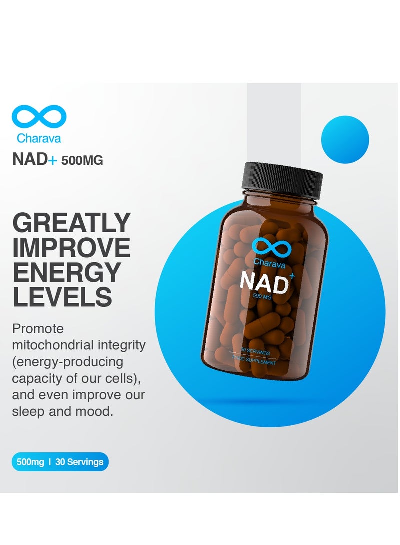 شارافا NAD+ 500 ملغ | معزز NAD+ للعمر الطويل | امتصاص معزز | 30 كبسولة | إمداد لمدة 30 يومًا | نيكوتيناميد أدينين - Image 3