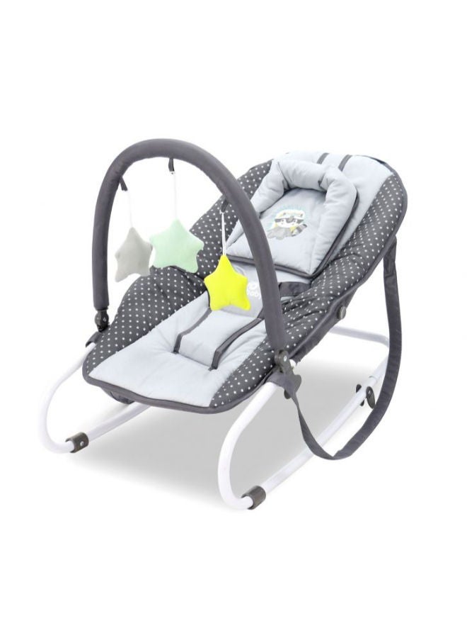 Baby Bouncer - Baby Raccoon