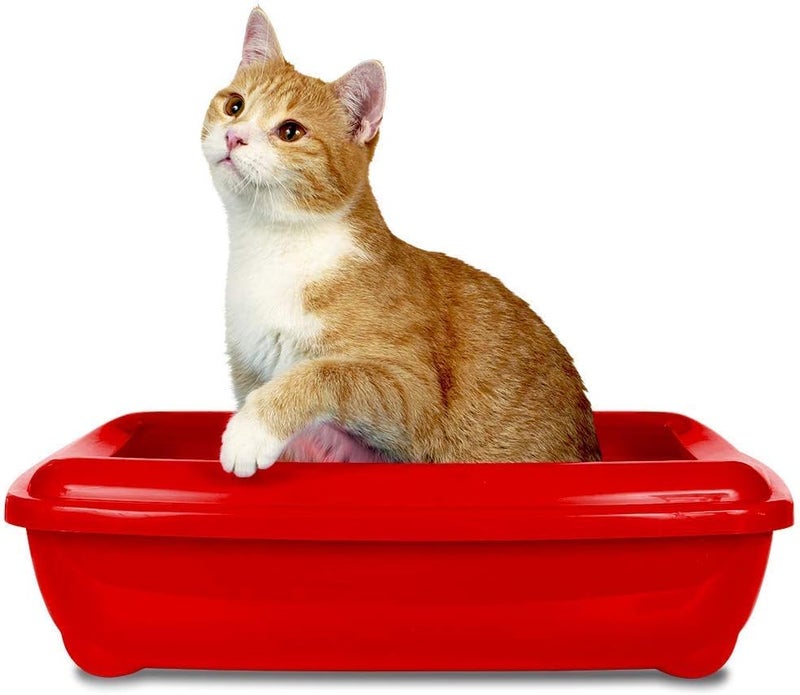 Simple Solution Cat Litter Tray Deodoriser, 500 ml - Powerful Odour Neutralising Spray - Image 4