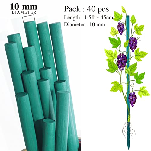 BLOOMAX 1.5 Feet Hardwood Plant Support Sticks | Pack of 40 Durable Wooden Garden Stakes | Includes Free Twist Ties | Perfect for Small Potted Plants and Home Gardening - Image 2