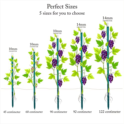 BLOOMAX 1.5 Feet Hardwood Plant Support Sticks | Pack of 40 Durable Wooden Garden Stakes | Includes Free Twist Ties | Perfect for Small Potted Plants and Home Gardening - Image 3