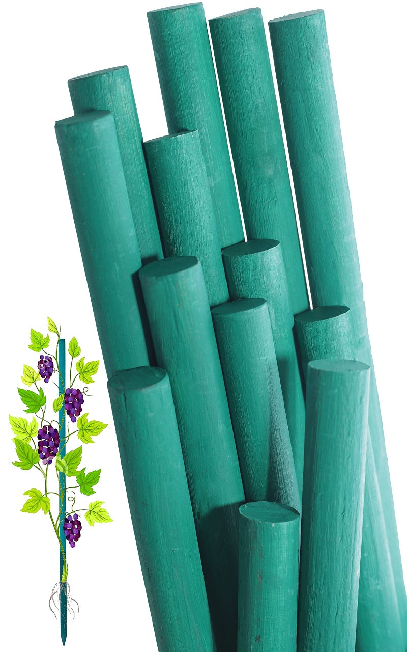BLOOMAX 1.5 Feet Hardwood Plant Support Sticks | Pack of 40 Durable Wooden Garden Stakes | Includes Free Twist Ties | Perfect for Small Potted Plants and Home Gardening - Image 1