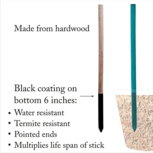 BLOOMAX 1.5 Feet Hardwood Plant Support Sticks | Pack of 40 Durable Wooden Garden Stakes | Includes Free Twist Ties | Perfect for Small Potted Plants and Home Gardening - Image 4