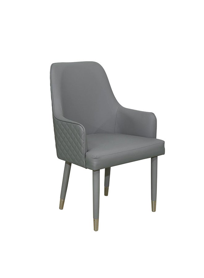 DANUBE HOME Danaya Dining Chair Strong And Sturdy Kitchen Dining Chairs Single Seater Modern Design Furniture For Dining Room Kitchen L 67x65x95 cm Gray  - Image 1