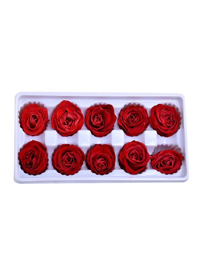 NIBEMINENT 10-Piece Preserved Rose Flowers Gift Box Set Red  - Image 1