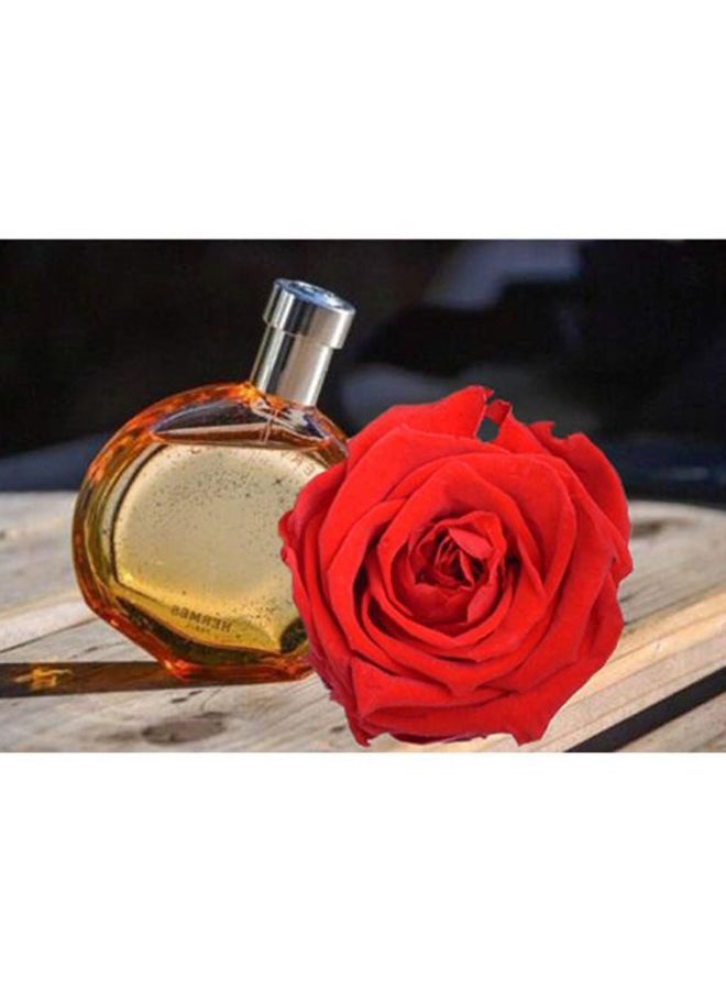 NIBEMINENT 10-Piece Preserved Rose Flowers Gift Box Set Red  - Image 2