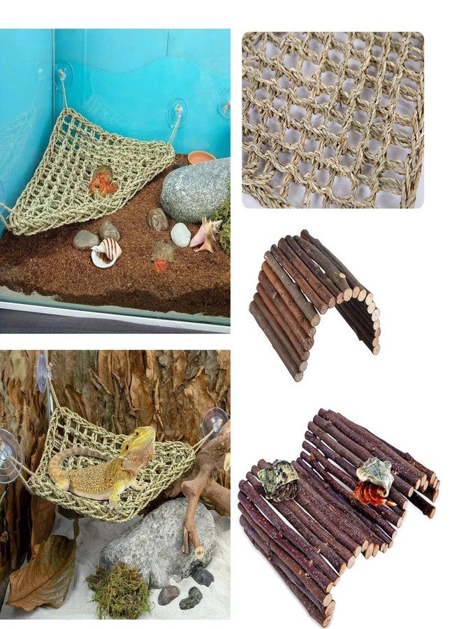 Adullpony Bearded Dragon Tank Accessories Set: Reptile Habitat Decor with Climbing Hammock Toys, Natural Wood Hideout for Hermit Crab, Lizard, Leopard Gecko,Crested,Tortoise, Snake - Image 2