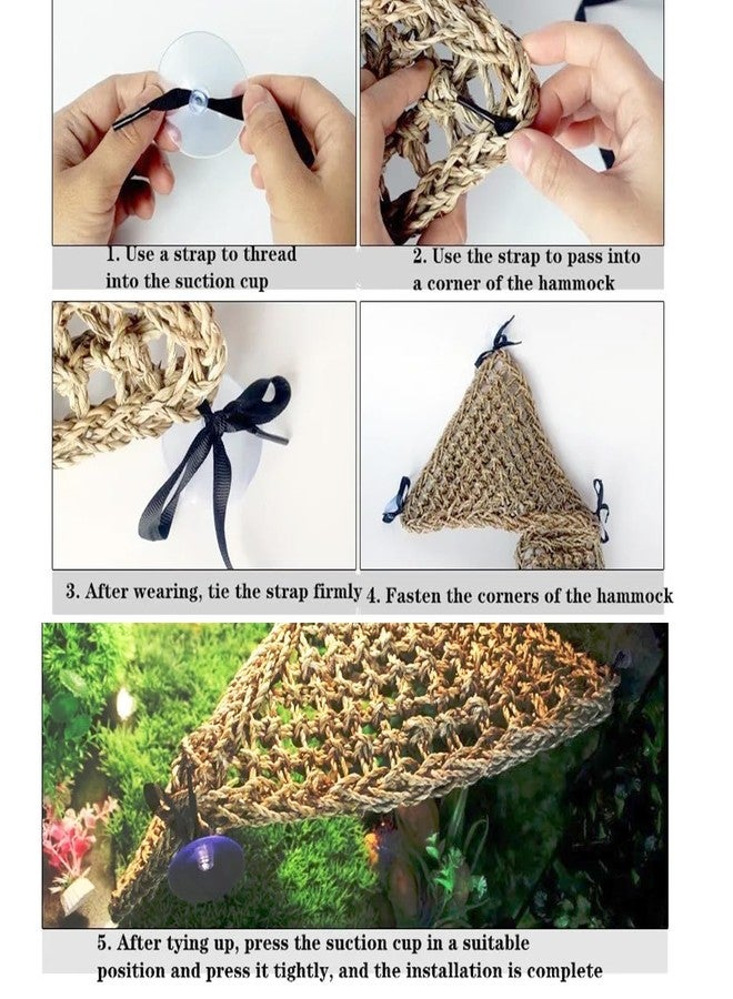 Adullpony Bearded Dragon Tank Accessories Set: Reptile Habitat Decor with Climbing Hammock Toys, Natural Wood Hideout for Hermit Crab, Lizard, Leopard Gecko,Crested,Tortoise, Snake - Image 4
