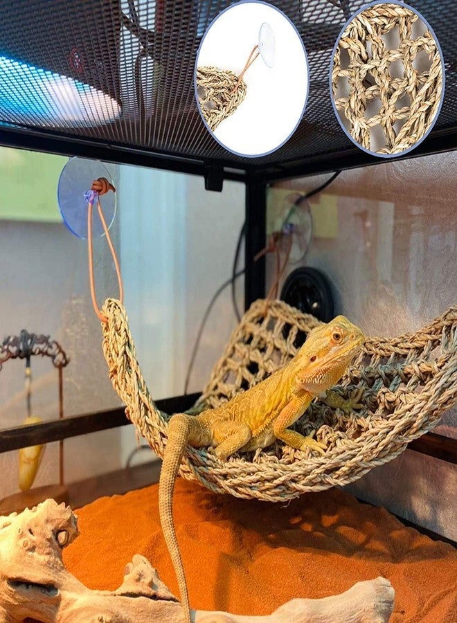 Adullpony Bearded Dragon Tank Accessories Set: Reptile Habitat Decor with Climbing Hammock Toys, Natural Wood Hideout for Hermit Crab, Lizard, Leopard Gecko,Crested,Tortoise, Snake - Image 5