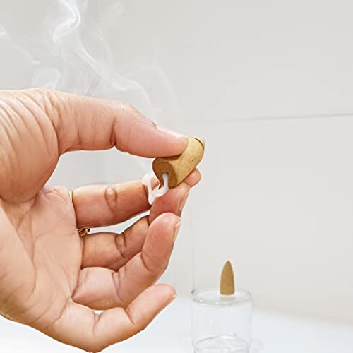 Aromatika Natural Backflow Incense Cones, 5 Packs 5 Fragrances 50 Pcs, (Sandal, Lavender, Patchouli, Rose, Lotus) | Pack 'B' - Image 2