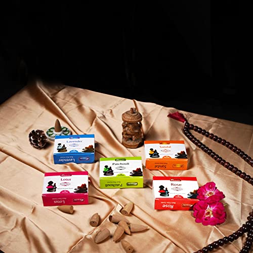 Aromatika Natural Backflow Incense Cones, 5 Packs 5 Fragrances 50 Pcs, (Sandal, Lavender, Patchouli, Rose, Lotus) | Pack 'B' - Image 3