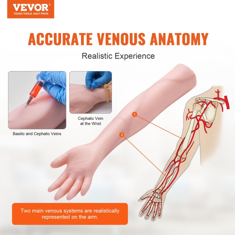 VEVOR Intravenous Practice Arm Kit Made of PVC Latex Material Phlebotomy Arm with Infusion Stand Practice Arm for Phlebotomy with a Storage Handbag IV Practice Arm Kit for Venipuncture Practice - Image 2