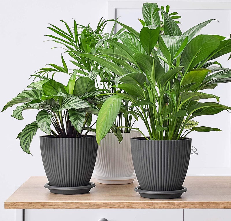 Rabbonix Plastic Round Flower Pots for Home Planters, Terrace, Garden Etc | Pack of 05 | Dark Grey | Suitable for Home Indoor & Outdoor Gardening Plants - Image 2